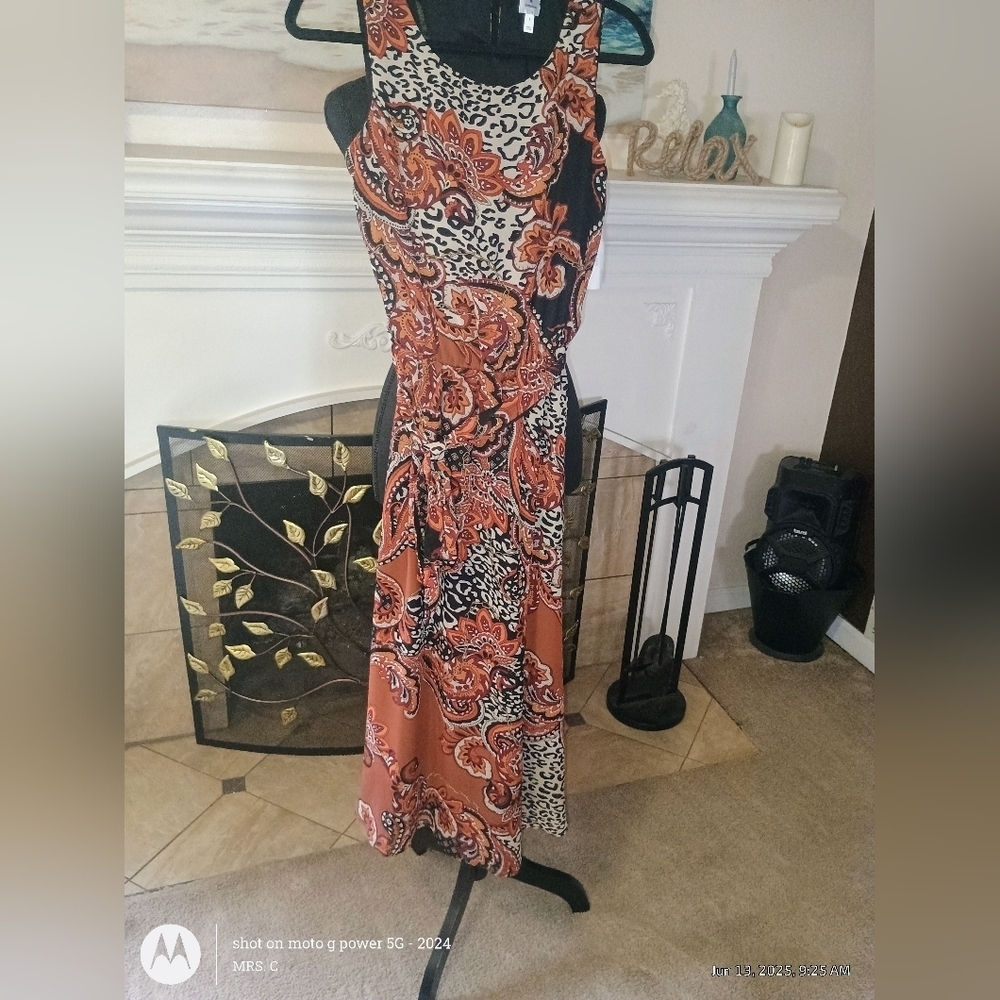 Elegant Paisley Print Dress Women's Size 2. Brand New With Tags Gorgeous